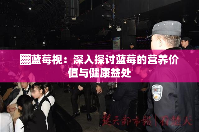 ▓蓝莓视：深入探讨蓝莓的营养价值与健康益处
