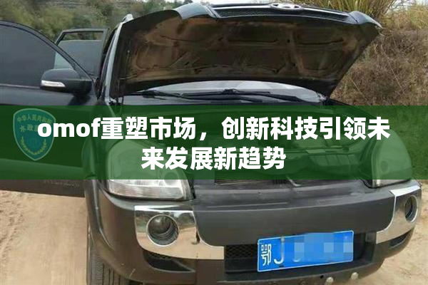 omof重塑市场，创新科技引领未来发展新趋势
