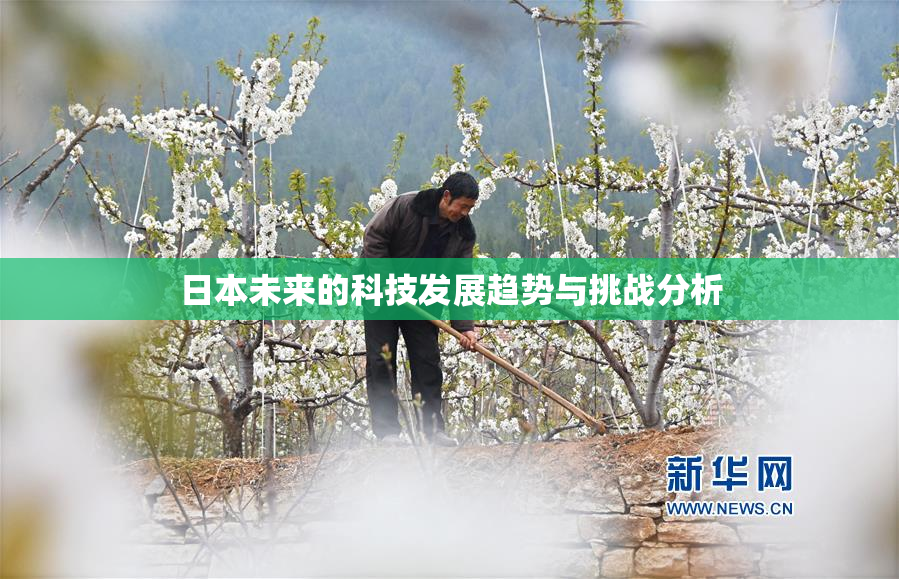 日本未来的科技发展趋势与挑战分析