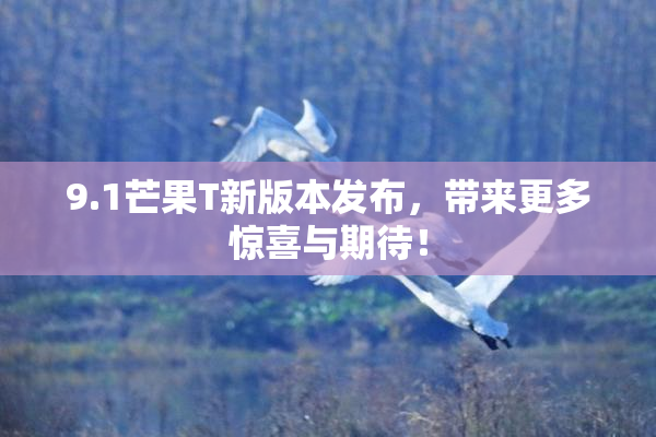 9.1芒果T新版本发布，带来更多惊喜与期待！