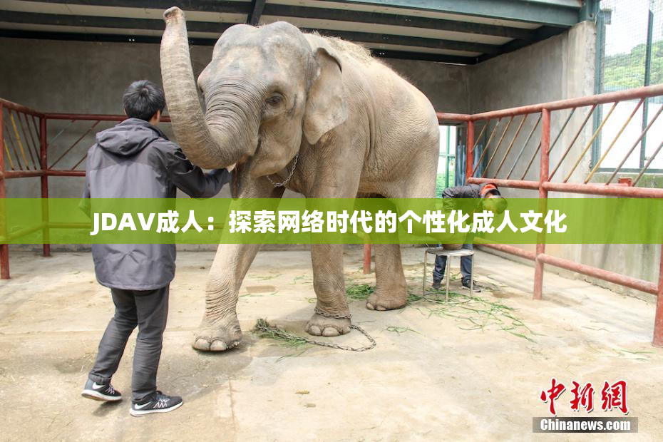JDAV成人：探索网络时代的个性化成人文化