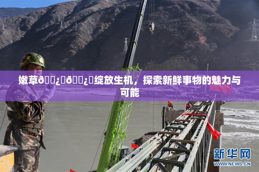 嫩草🌿‌🌿‌绽放生机，探索新鲜事物的魅力与可能