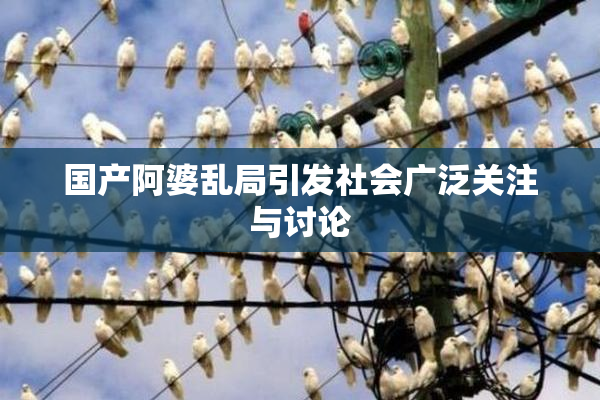 国产阿婆乱局引发社会广泛关注与讨论
