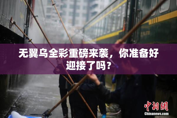 无翼乌全彩重磅来袭，你准备好迎接了吗？