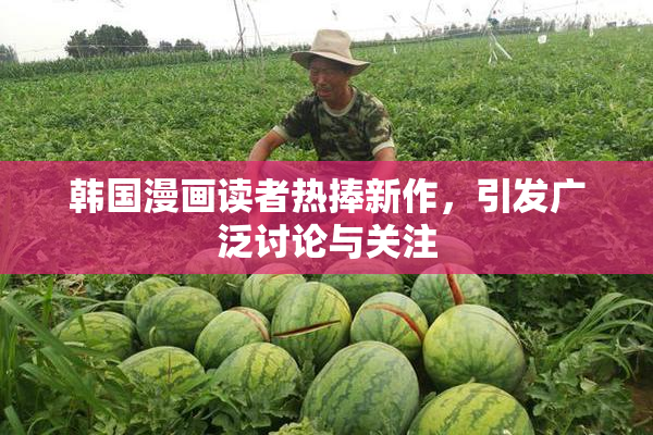 韩国漫画读者热捧新作，引发广泛讨论与关注
