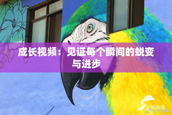 成长视频：见证每个瞬间的蜕变与进步