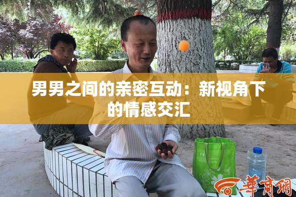 男男之间的亲密互动：新视角下的情感交汇