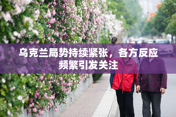 乌克兰局势持续紧张，各方反应频繁引发关注
