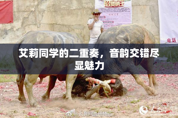 艾莉同学的二重奏，音韵交错尽显魅力