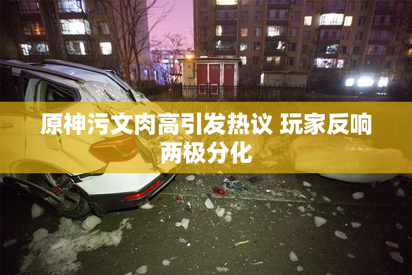原神污文肉高引发热议 玩家反响两极分化