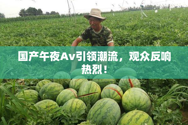 国产午夜Av引领潮流，观众反响热烈！
