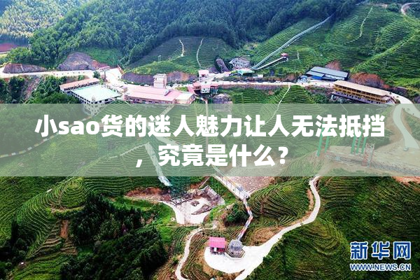 小sao货的迷人魅力让人无法抵挡，究竟是什么？