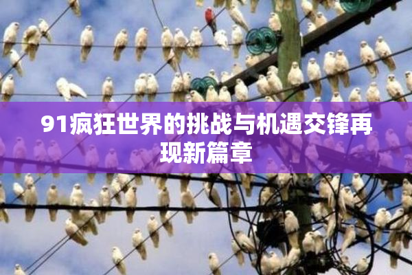 91疯狂世界的挑战与机遇交锋再现新篇章