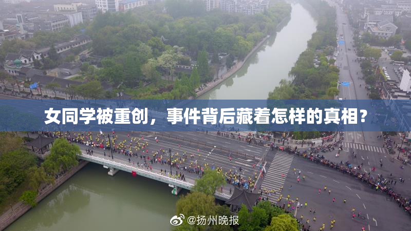 女同学被重创，事件背后藏着怎样的真相？