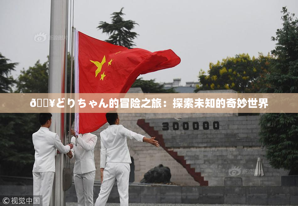 🔥どりちゃん的冒险之旅：探索未知的奇妙世界