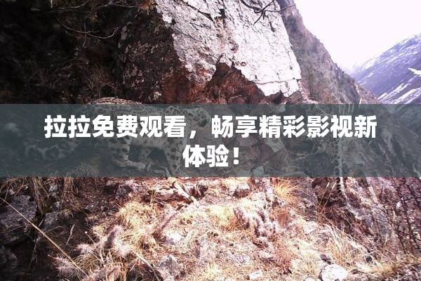 拉拉免费观看，畅享精彩影视新体验！