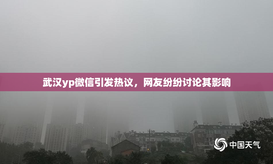 武汉yp微信引发热议，网友纷纷讨论其影响