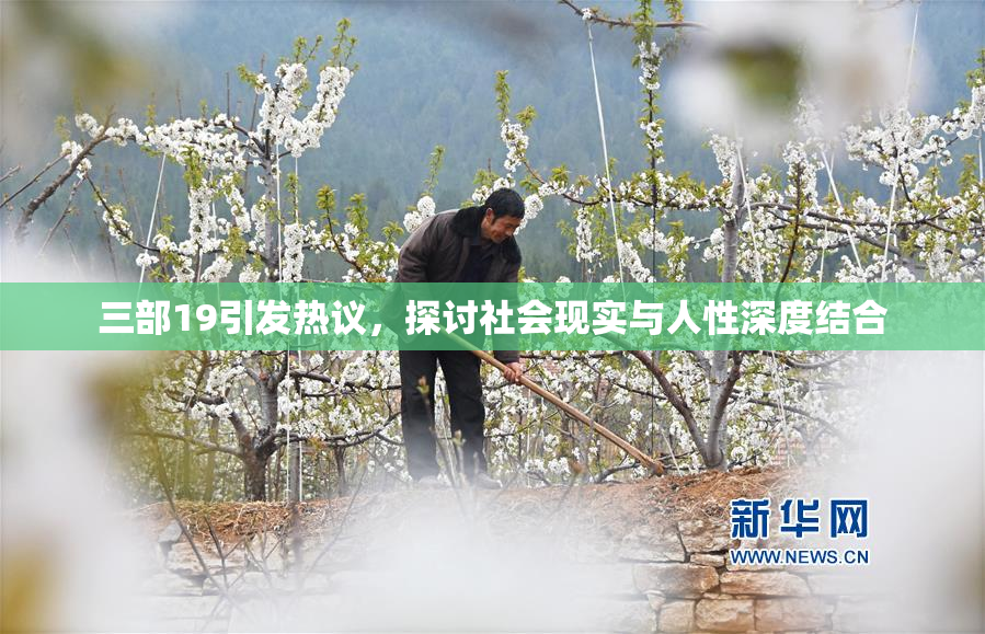 三部19引发热议，探讨社会现实与人性深度结合