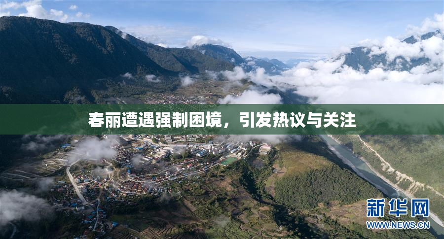 春丽遭遇强制困境，引发热议与关注
