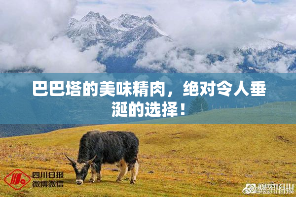 巴巴塔的美味精肉，绝对令人垂涎的选择！