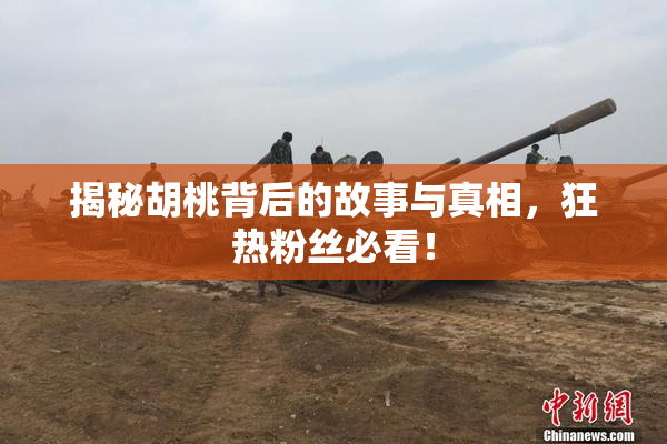揭秘胡桃背后的故事与真相，狂热粉丝必看！