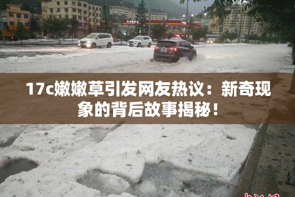 17c嫩嫩草引发网友热议：新奇现象的背后故事揭秘！