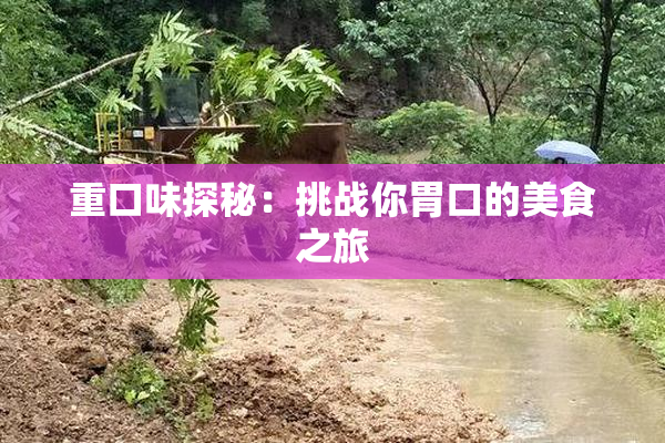 重口味探秘：挑战你胃口的美食之旅