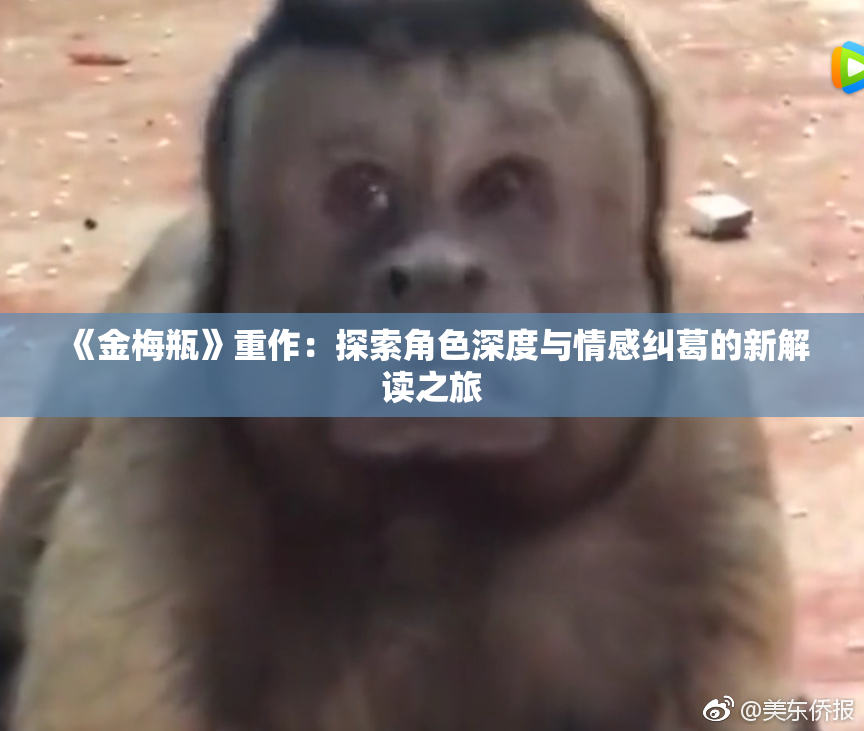 《金梅瓶》重作：探索角色深度与情感纠葛的新解读之旅
