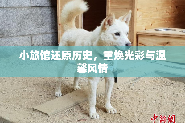 小旅馆还原历史，重焕光彩与温馨风情