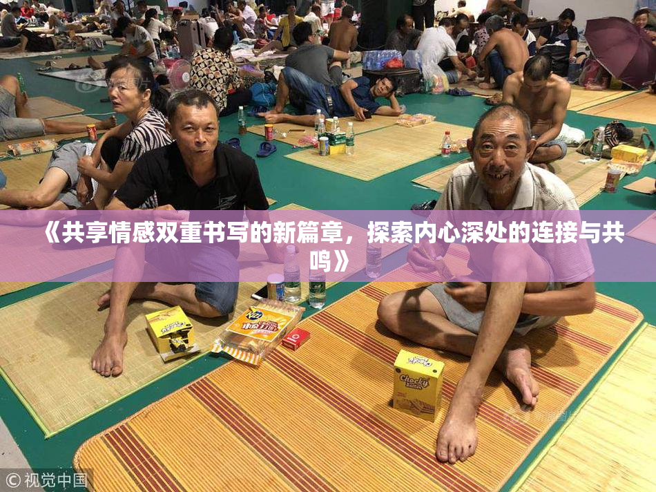 《共享情感双重书写的新篇章，探索内心深处的连接与共鸣》