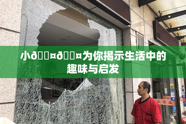 小🐤🐤为你揭示生活中的趣味与启发