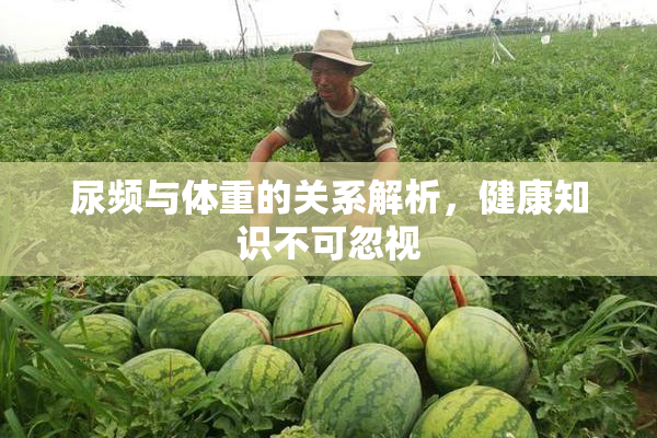 尿频与体重的关系解析，健康知识不可忽视