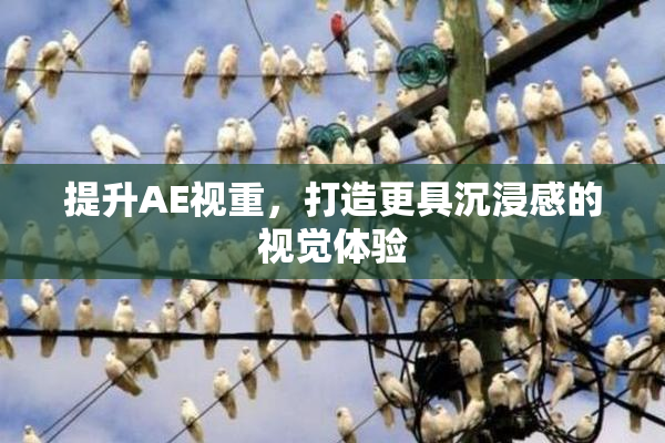 提升AE视重，打造更具沉浸感的视觉体验