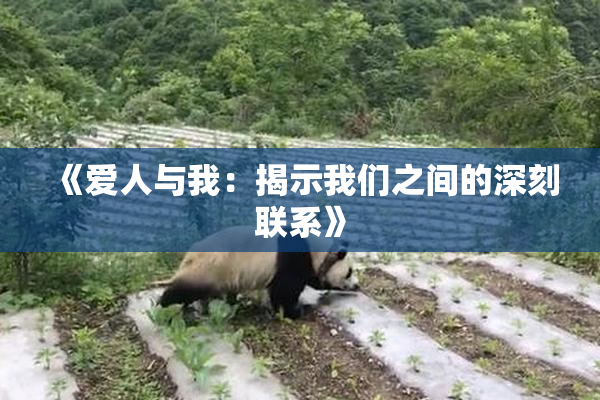 《爱人与我：揭示我们之间的深刻联系》
