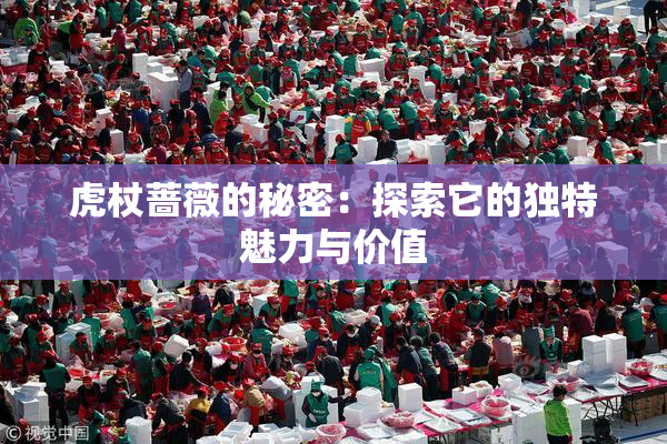 虎杖蔷薇的秘密：探索它的独特魅力与价值