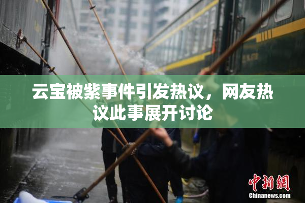 云宝被紫事件引发热议，网友热议此事展开讨论