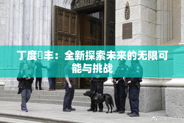 丁度巜丰：全新探索未来的无限可能与挑战
