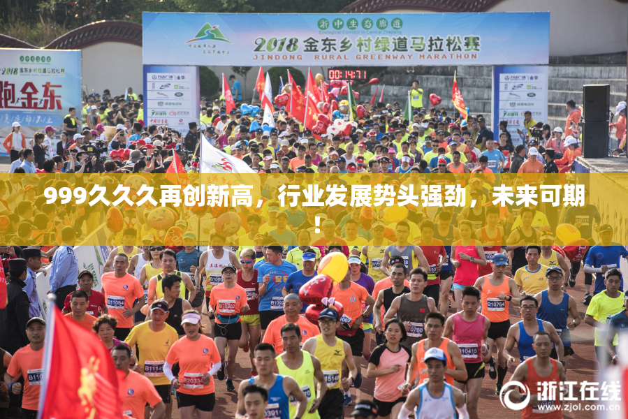 999久久久再创新高，行业发展势头强劲，未来可期！