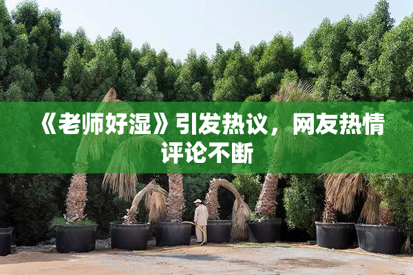 《老师好湿》引发热议，网友热情评论不断