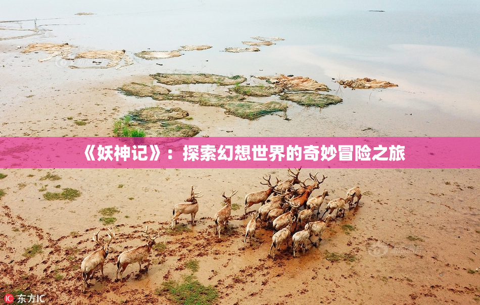 《妖神记》：探索幻想世界的奇妙冒险之旅