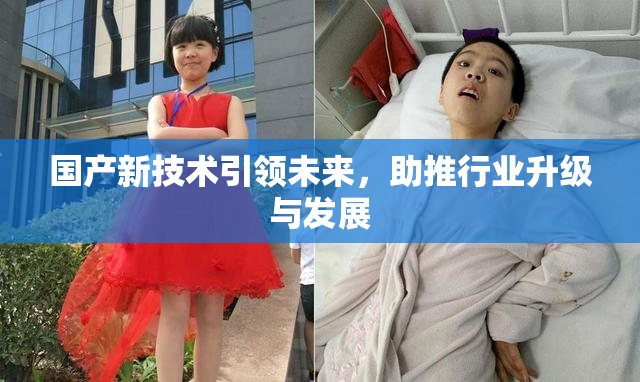 国产新技术引领未来，助推行业升级与发展