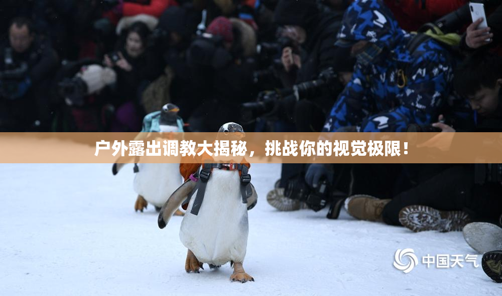 户外露出调教大揭秘，挑战你的视觉极限！