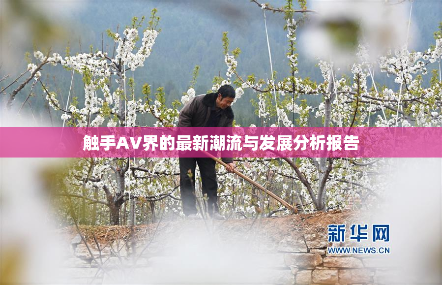触手AV界的最新潮流与发展分析报告