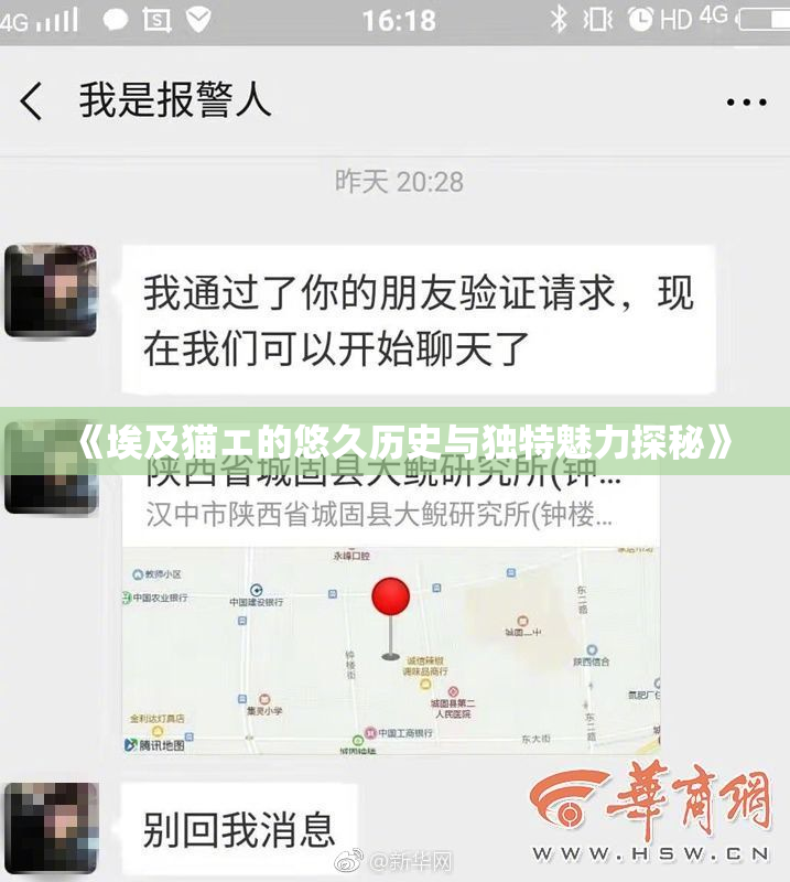 《埃及猫エ的悠久历史与独特魅力探秘》