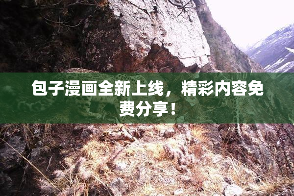 包子漫画全新上线，精彩内容免费分享！
