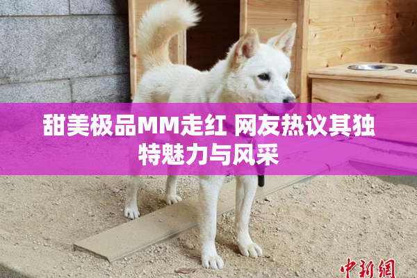 甜美极品MM走红 网友热议其独特魅力与风采