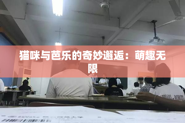 猫咪与芭乐的奇妙邂逅：萌趣无限