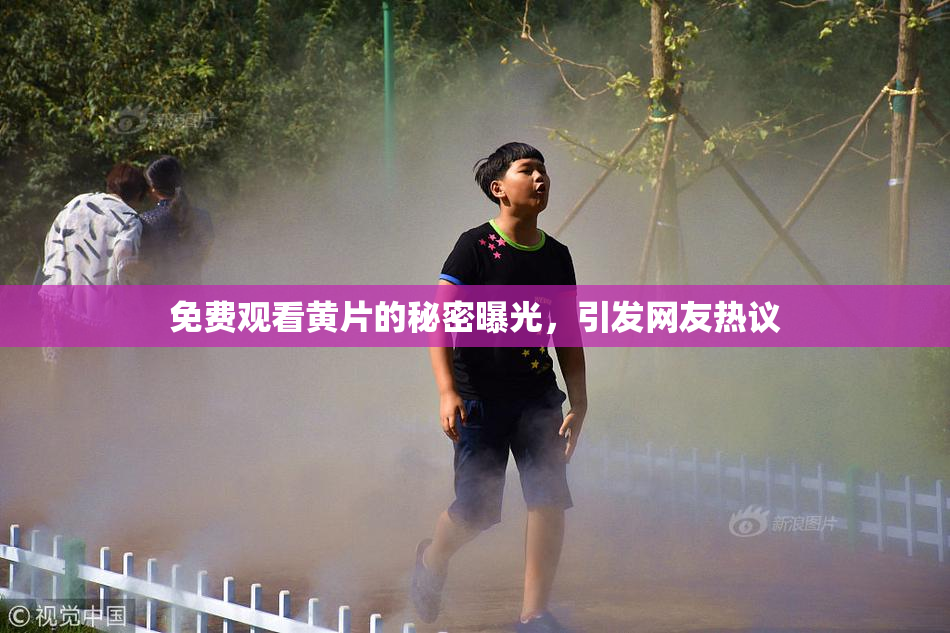 免费观看黄片的秘密曝光，引发网友热议
