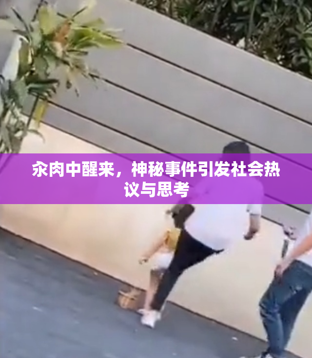 汆肉中醒来，神秘事件引发社会热议与思考