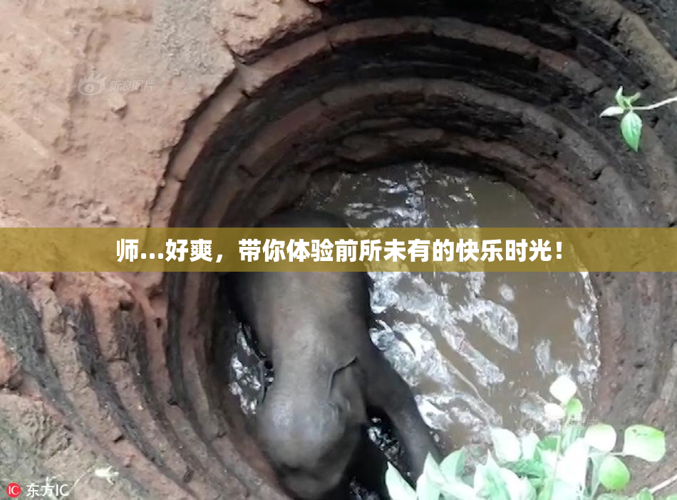 师…好爽，带你体验前所未有的快乐时光！